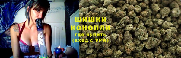 PSILOCYBIN Богородск